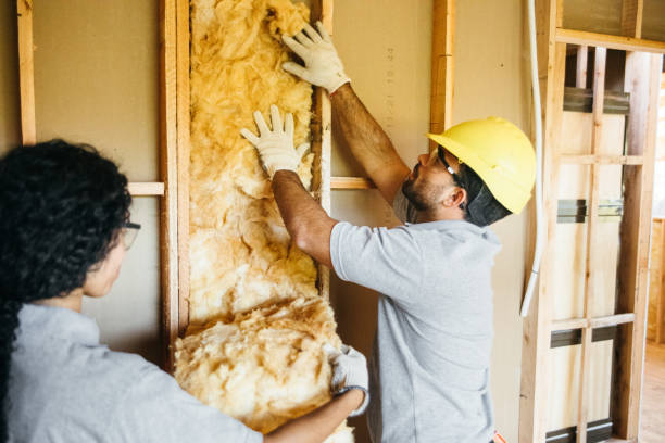 Best Spray Foam Insulation  in USA